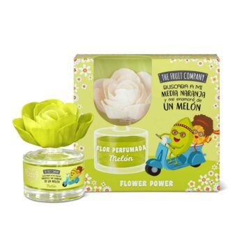 Pack de 8 (soit 4,20€ pièce) : Fleurs d'ambiance parfumée au Melon - 55ml