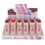 Présentoir de 24 (soit 1,22€ l'unité) : Blush CHEEKS & Rouge à lèvres 2 EN 1