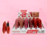 Présentoir de 24 (0,97€ pièce) : Rouge à Lèvres 24h SILK - Leticia Well