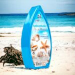 Lot de 12 (soit 1,03€ l'unité) : Parfum d'ambiance 2en1 - Brise Marine