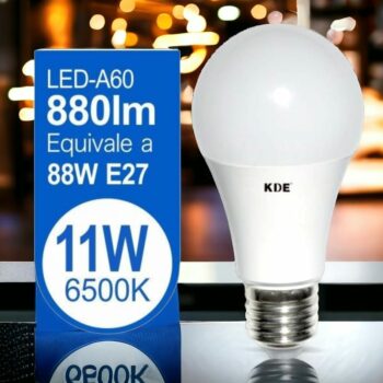 Lot de 10 ampoules 880lm LED 11W (soit 1,57€ l'unité)