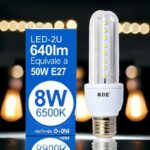 Lot de 10 ampoules 640lm LED 8W (soit 2,92€ l'unité)