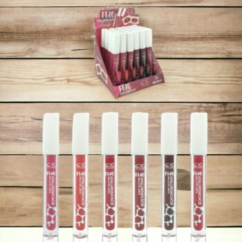 Lot de 24 (0,99€ pièce) : Lipgloss FIX à l'acide hyaluronique - 6 couleurs – Image 2