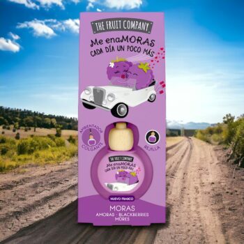 Mélange de 10 (2,25€ unité) : Désodorisant pour voiture aux arômes mélangés TFC – Image 5