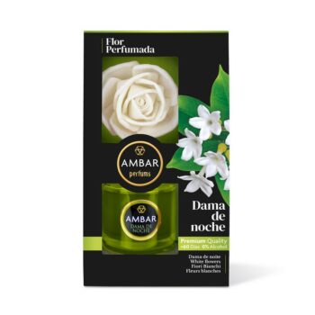Lot de 3 (soit 5,50€ pièce) : Fleur Magique Dame des nuits - Qualité Prémium – Image 2