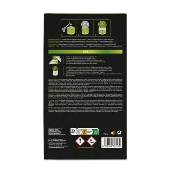 Lot de 3 (soit 5,50€ pièce) : Fleur Magique Dame des nuits - Qualité Prémium – Image 3