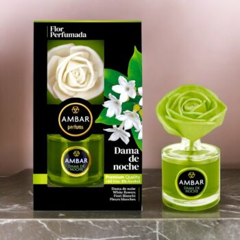 Lot de 3 (soit 5,50€ pièce) : Fleur Magique Dame des nuits - Qualité Prémium