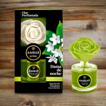 Lot de 3 (soit 5,50€ pièce) : Fleur Magique Dame des nuits - Qualité Prémium – Image 4