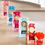 Bon mélange de 10 (soit 4,20€ pièce) : Fleur Magique Mélange de Parfum