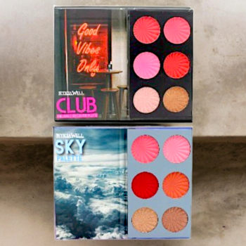 Lot de 16 (3,66€ Pièce) : Grandes Palettes 4 Blushes + 2 Illuminateurs Par Palette