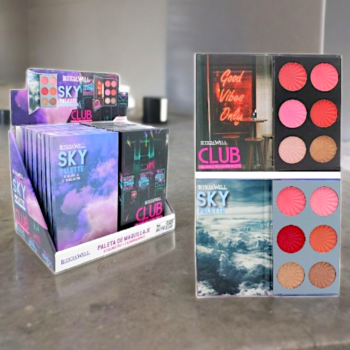Lot de 16 (3,66€ Pièce) : Grandes Palettes 4 Blushes + 2 Illuminateurs Par Palette – Image 2