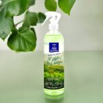 Carton de 12 (Soit 2,10€ pièce) : Spray Parfumé Thé Vert & Rose Blanche - Grand Format 400ml
