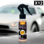 Lot de 12 (soit 1,60€ pièce) : Spray d'Ambiance Parfumé Voiture 100ml - MANGUE - Prady
