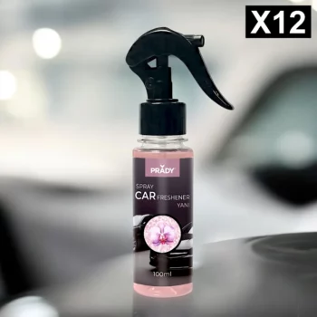 Lot de 12 (soit 1,60€ pièce) : Spray d'Ambiance Parfumé Voiture 100ml - YANI - Prady