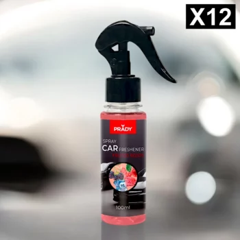 Lot de 12 (soit 1,60€ pièce) : Spray d'Ambiance Parfumé Voiture 100ml - FRUITS ROUGES - Prady
