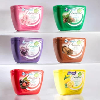 Lot de 12 (soit 1,10€ l'unité) Gel Désodorisant - Parfums Mélangés