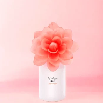 Carton de 6 (Soit 3,95€ L'unité) Fleur d’Ambiance Parfumée à La Pêche – Image 2