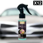 Lot de 12 (soit 1,60€ pièce) : Spray d'Ambiance Parfumé Voiture 100ml - SPA - Prady