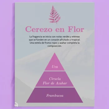 Lot de 4 (soit 1,50€ pièce) : Parfum de voiture à suspendre Fleur de Cerisier - AMBAR ZEN – Image 2