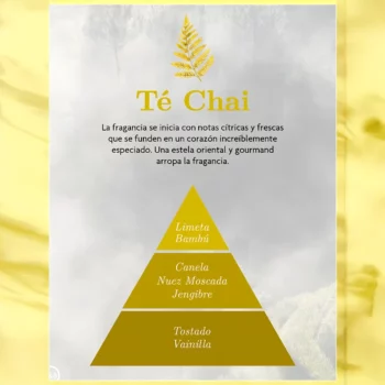 Lot de 4 (soit 1,82€ pièce) : Parfum de voiture à suspendre Thé Chai - AMBAR ZEN – Image 3