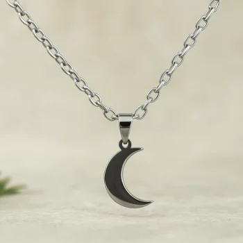 Lot de 10 Mélanges (1,50€ Pièce) : Collier Argenté avec Pendentif – Acier Inoxydable – Image 17