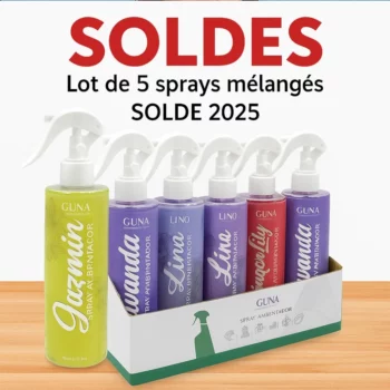 Mélange de 5 (1,10€ Pièce) Spray d'Ambiance Parfumé 260ml - Env 4 Parfums Différents