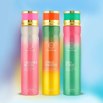 Mélange de 24 (2,50€ Pièce) : Désodorisant d'Intérieur de Prestige 4 X 6 parfums Différents