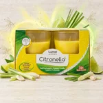 Packs de 8X2 (Soit 1,70€ les 2 bougies) : Bougies Anti-moustiques - Sans insecticide