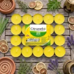 12 Packs de 20 (Soit 2,10€ les 20 Bougies) : Bougies répulsif Anti-moustiques