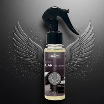 Carton de 12 (1,35€ Pièce) ✨ Spray d'Ambiance Voiture & Maison Parfumé PRADY – 100ml ✨