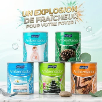 Lot de 12 (soit 0,98€ l'unité) Désodorisants en Gel Amahogar – 5 Parfums - Explosion de Fraîcheur (95g)