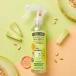 Carton de 12 🍈 Spray Désodorisant Polyvalent Melon – The Fruit Company (250 ml) 🍈