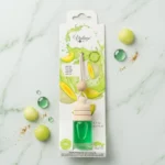 CARTON DE 12 🍈 DÉSODORISANT VOITURE VINTAGE HOME – MELON (6,2 ML)