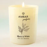 🕯️ Carton de 8 : Bougies Parfumées "Black & White - Flor de Mimosa" (125g) – Ambar Perfums 🤍