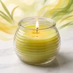 Lot de 6 Bougies à la citronnelle de 150 g dans un récipient en verre 🍋✨