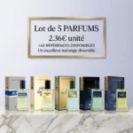 Lot de 5 : Parfum générique Homme- Prady (Bon mélange = 5 parfum différent par lot)