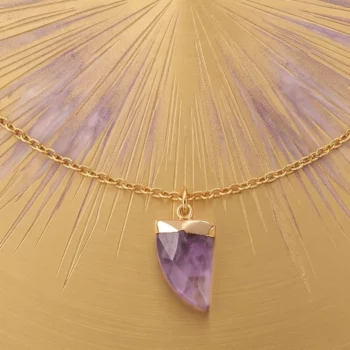 Collier Avec Pendentif Dent Mauve – Image 2